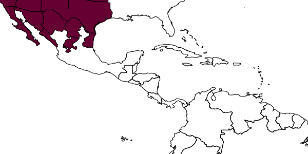 map of Tachysphex linsleyi     Bohart, 1962